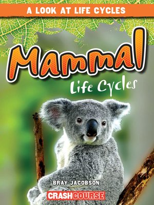 cover image of Mammal Life Cycles